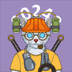 249