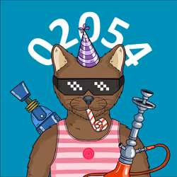 2054