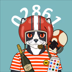 Catens 2861