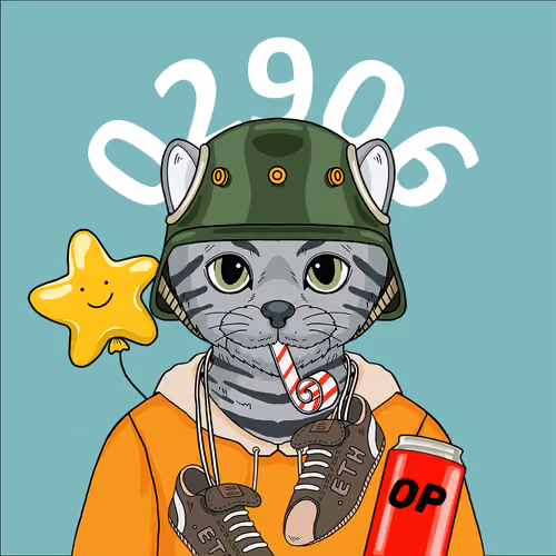 Catens 2906