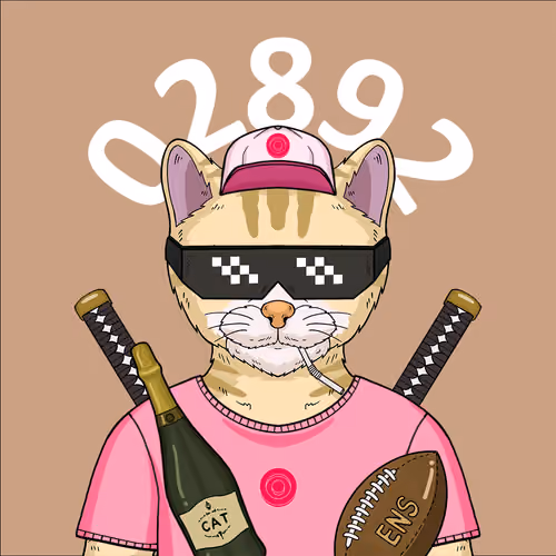 Catens 2892