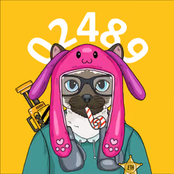 Catens 2489