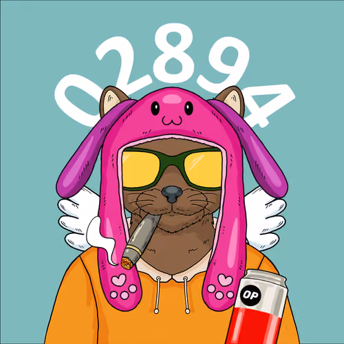 Catens 2894