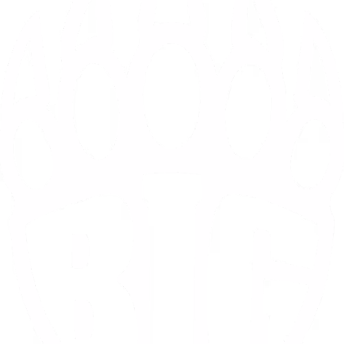 BIG 2/333
