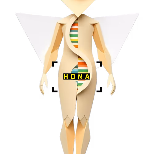 HDNA
