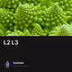  L2  L3