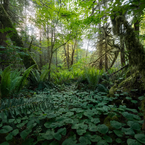 Tristan Todd on Optimism