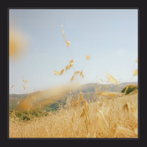 what we had (feat. Georgie O'Brien) - Free #15