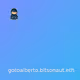 bitsonaut.eth