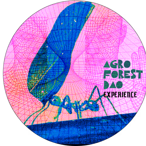 Macaé Experience