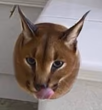 D<~