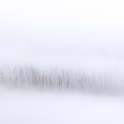 Brynn Alise Optimism