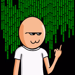 337