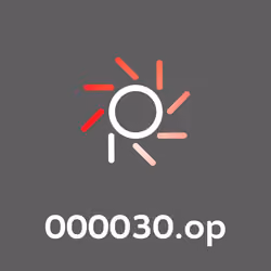 000030.op