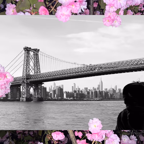 NightBoomsNY