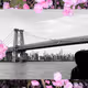 NightBoomsNY
