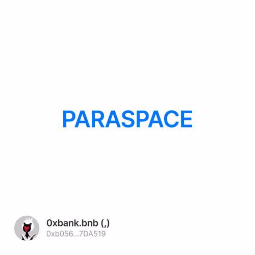 PARASPACE喂饭级教程