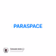 PARASPACE喂饭级教程
