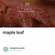maple leaf V2