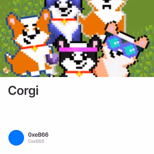 Corgi 2