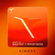 Kinode // Genesis Birds - Swarm 2