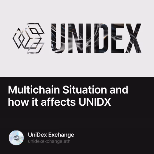 Multichain Situation and how it affects UNIDX 1/25