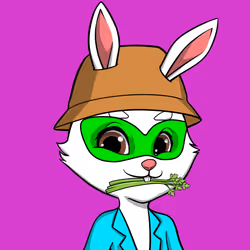 Bunny#803