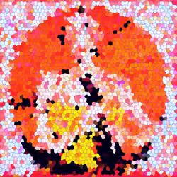 259