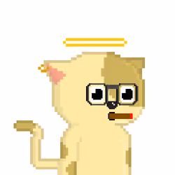 OP CAT #54