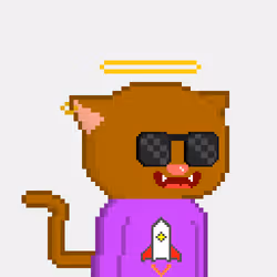 OP CAT #110