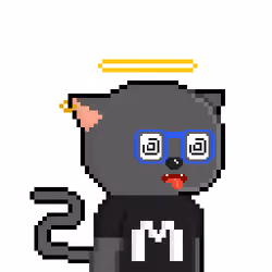 OP CAT #313