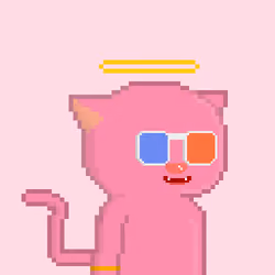 OP CAT #505