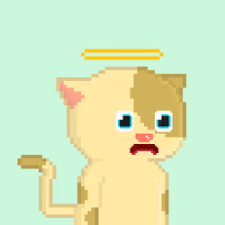 OP CAT #106