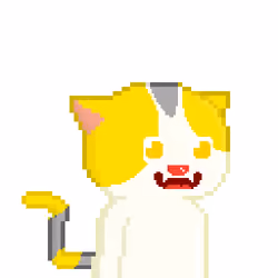 OP CAT #109