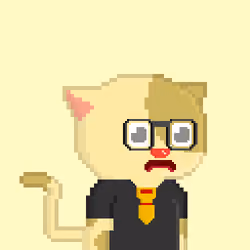 OP CAT #55
