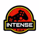 INTNSE