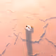 Remint of 0x146ffa3a241926b4f086942f060a7fd23673b128 Token ID 2