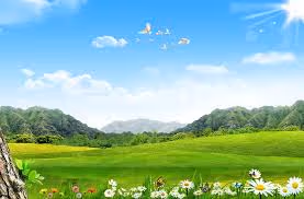 images (1)