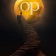 sun of crypto