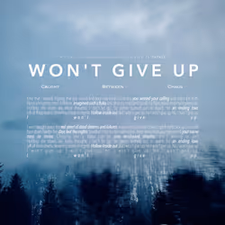 Won't Give Up #44