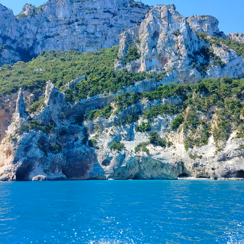 Paradise