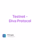 Testnet - Diva Protocol
