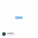  DAO