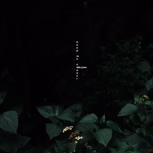 Keep Me Closer - Limited #2