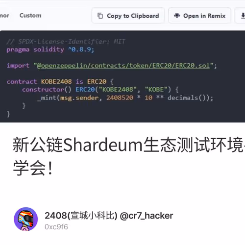 新公链Shardeum生态测试环境手把手教你部署合约！0撸埋伏空投！有手就能学会！ 2/500