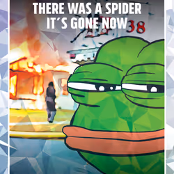 79