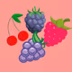 Berries