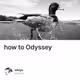 how to Odyssey