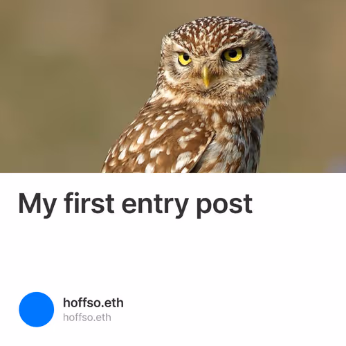 My first entry post  1/500