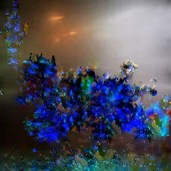 Coral Reef